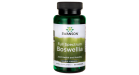 Full Spectrum Boswellia podwójna siła 800 mg