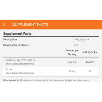 Pantothenic Acid 500 mg 100 vc