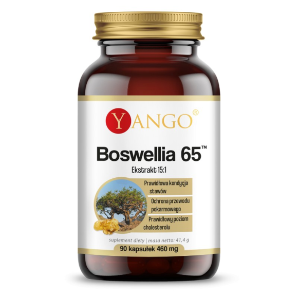 Yango Boswellia 65™ 90 kaps.