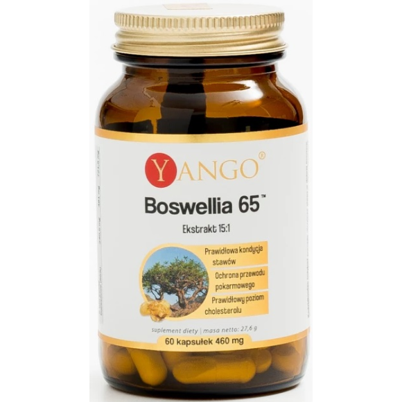 Yango Boswellia 65™ 90 kaps.